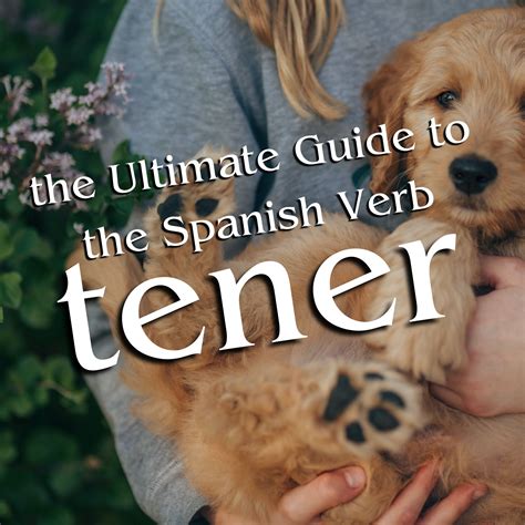 my way tienen|The Ultimate Guide to the Spanish Verb Tener